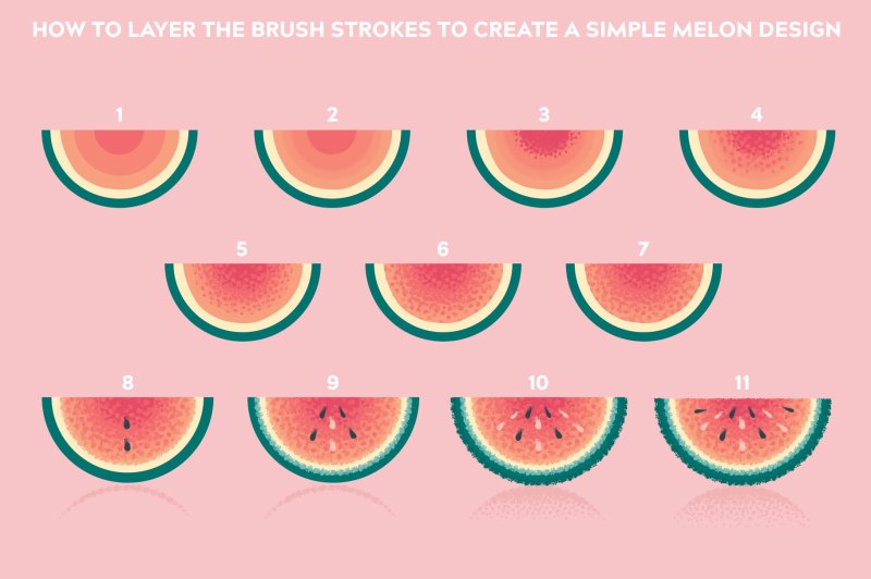Melon, step-by-step drawn using Impressionism brushes for Illustrator