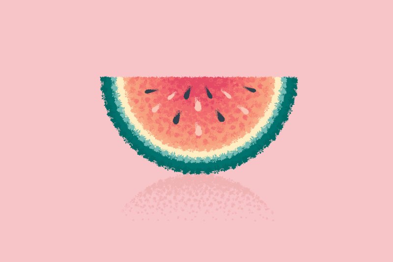 Melon using Impressionism brushes for Illustrator