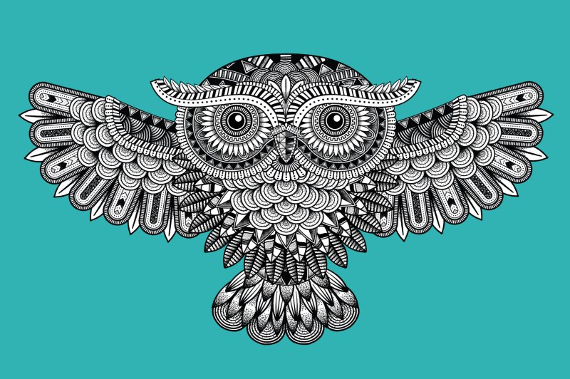 Zentangle style owl design made with the Zen Fine liner & Mandala Creator in Adobe Illustrator.