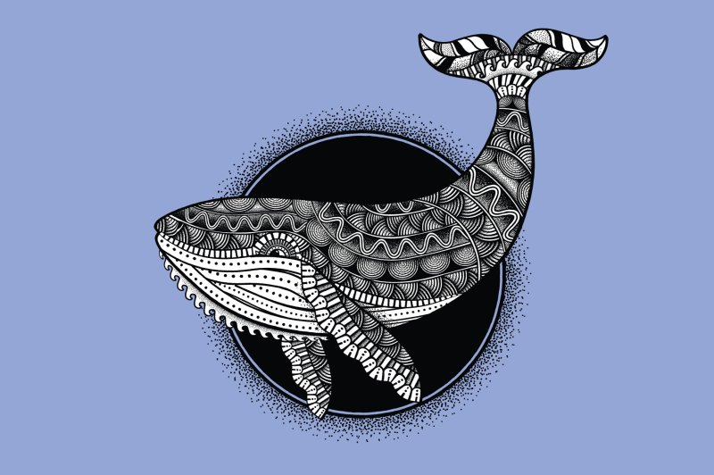 Zentangle style whale design made with the Zen Fine liner & Mandala Creator in Adobe Illustrator.