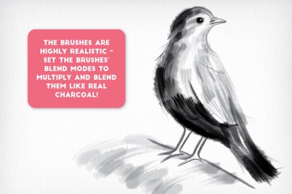bird created using charcoal affinity designer brushes