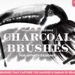 charcoal brushes for Affinity Designer