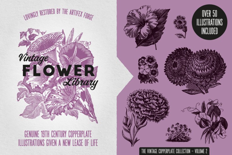 A vintage flower illustration library for Affinity Designer.