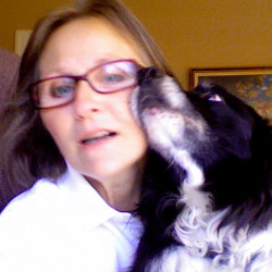collayne Avatar